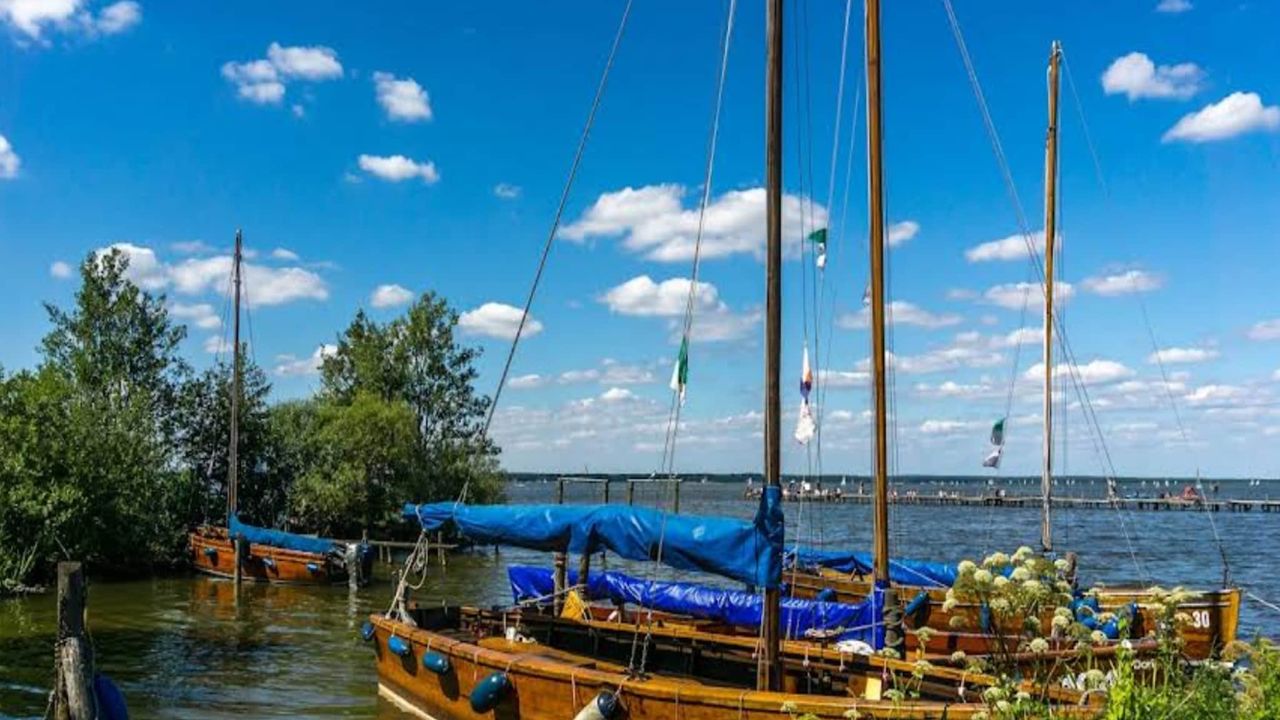 AreaSummer1KM AreaSummer1KM